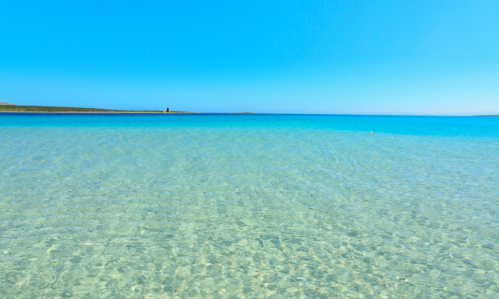 a picture of la pelosa beach in stintino north west sardinia