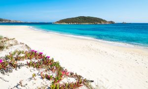 a picture of tuerredda beach near capo spartivento in south sardinia