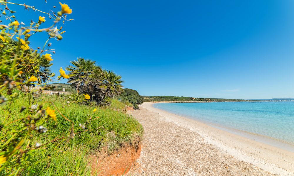 a picture of lazzaretto beach near alghero in sassari north west sardinia