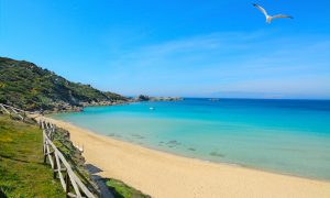 a picture of the shoreline of spiaggia rena bianca in springtime in santa teresa gallura north sardinia