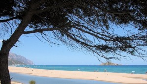 a picture of iscrixedda beach taken from the pine forests