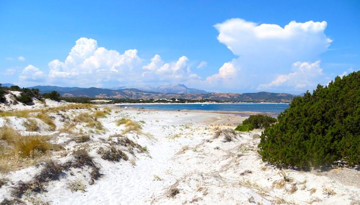 a picture of capo comino beach