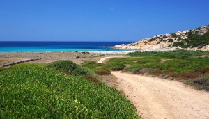 a picture of monti russu beach