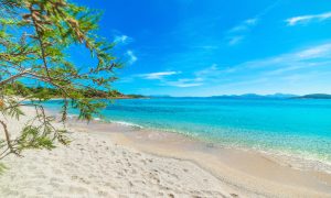 a picture of spiaggia la celvia near cala di volpe sardinia