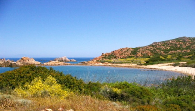a picture of cala canneddi in Trinità d'Agultu e Vignola