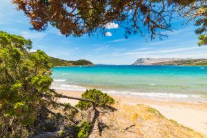 a picture of a beach near Capo Coda Cavallo with Isola Tavolara in the background