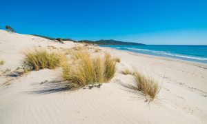 s picture of sand dunes at porto pino beach in southern sardinia