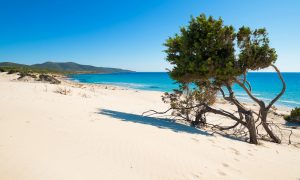 a picture of spiaggia di porto pino in south sardinia