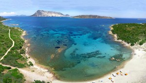 a picture of la pipara beach in capo coda cavallo