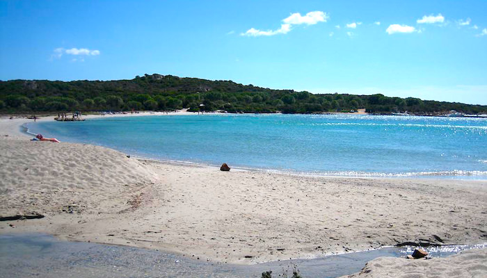 a picture of salina manna beach in sardinia