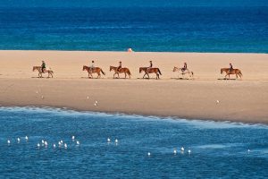 a picture of several people riding horses on the beach in Chia, south Sardinia