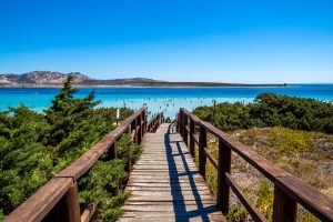 a picture of a wooden pathway that leads to the beach of La Pelosa, in Stintino, north-west Sardinia, Italy.