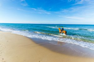 a picture of someone riding a horse on the beach in Sardinia, Italy.
