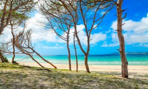 a picture of maria pia beach near alghero in north west sardinia