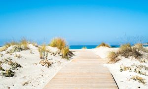 a picture of a wooden path to Le Dune Beach near Porto Pino South Sardinia