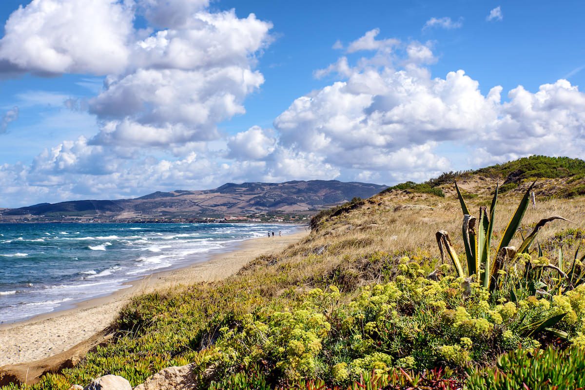 a picture of the dunes behind the beach of Badesi, in north Sardinia, Italy.