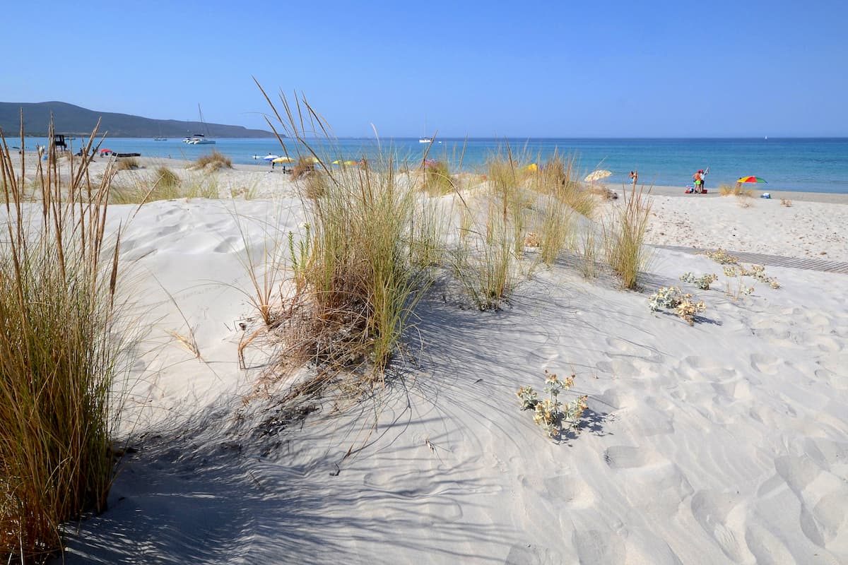 soft sands and dunes at Spiaggia di Is Arenas, Oristano, west Sardinia, Italy.