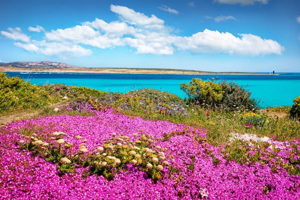 It’s Springtime in Sardinia!