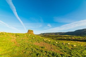 a flock of sheep near Nuraghe Paddaggiu between Castelsardo and Valledoria, Sardinia