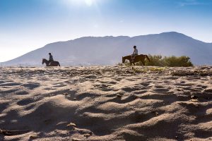 Horseback riding on the beach in Sardinia, Italy.