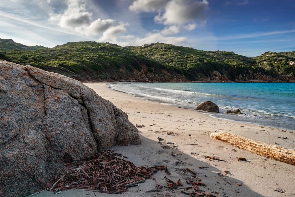 A lone piece of driftwood at Spiaggia di Cala Balcaccia